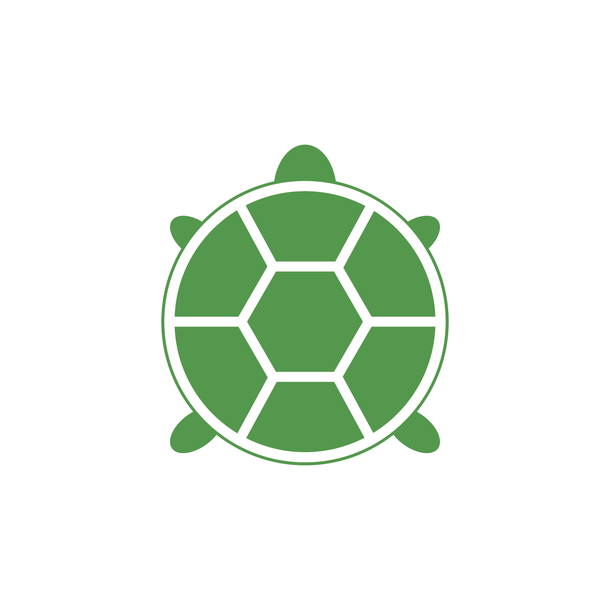 Turtle Day